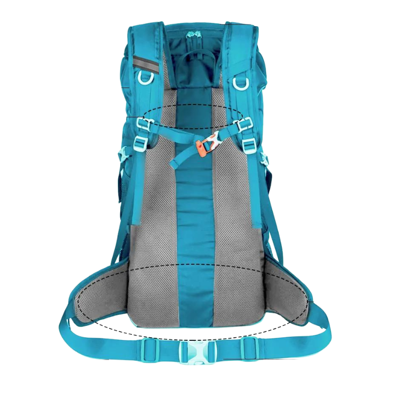 Sac à dos randonnée homme 50l bleu panneau arrière