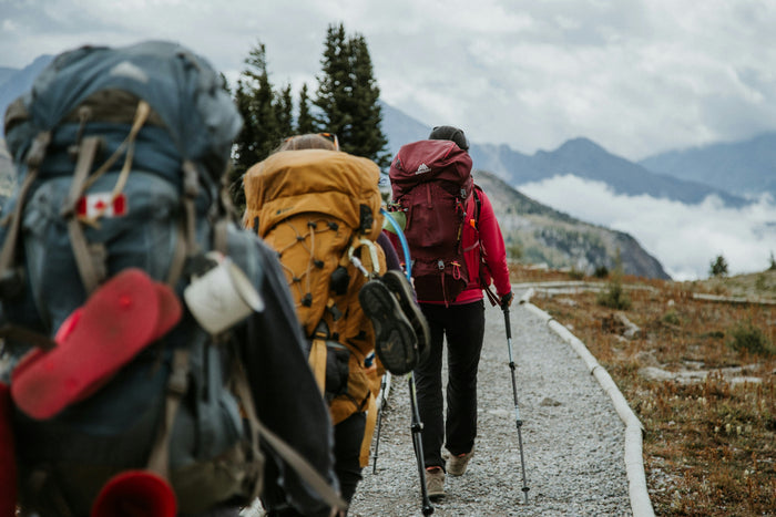 Groupe de randonneurs avec sacs de trek et bâtons sur un sentier de montagne