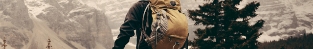 Bâtons de Randonnée avec 5 Embouts et Sac de Rangement Inclus porté