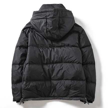 Doudoune randonnée hiver pour homme de dos