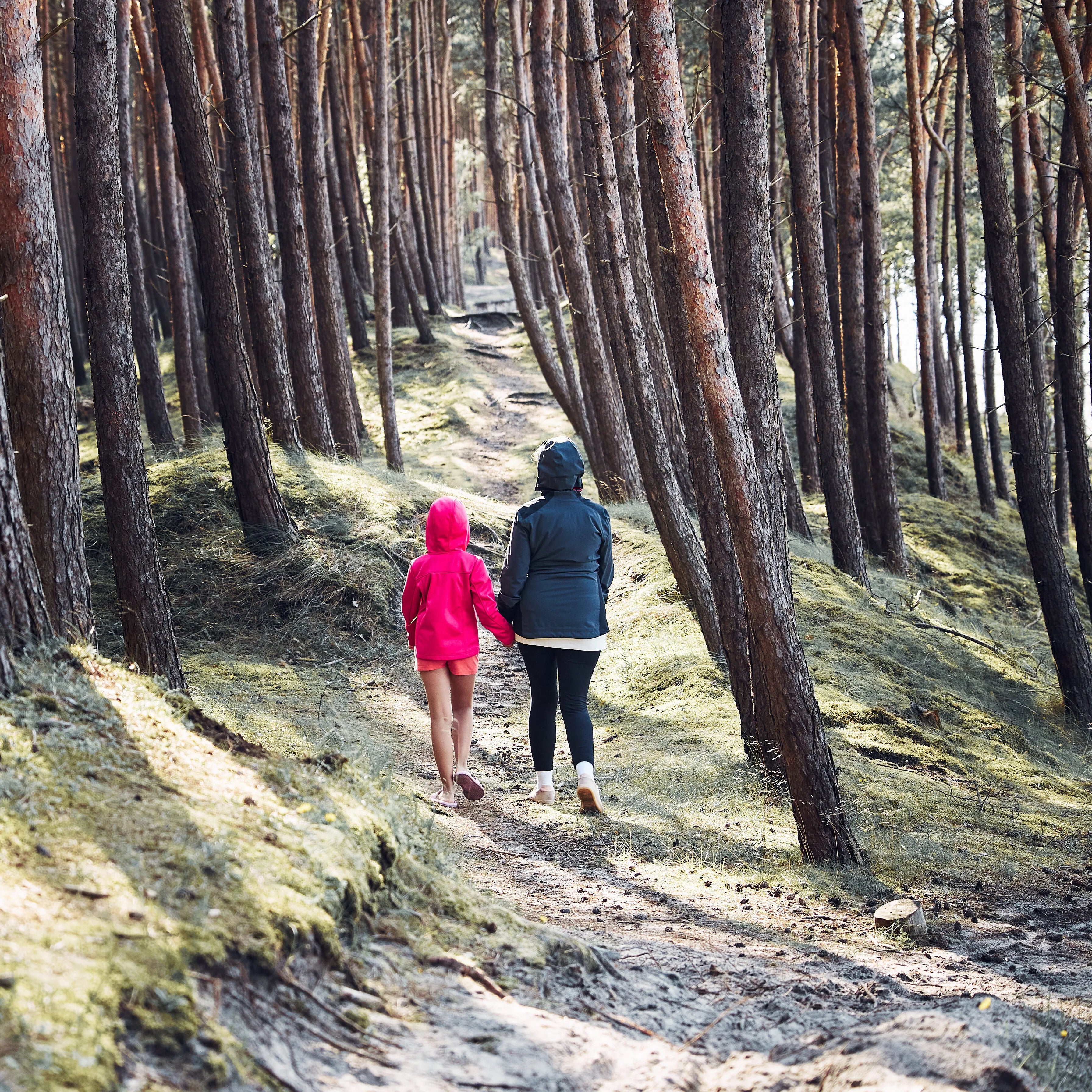 Randonnée forêt