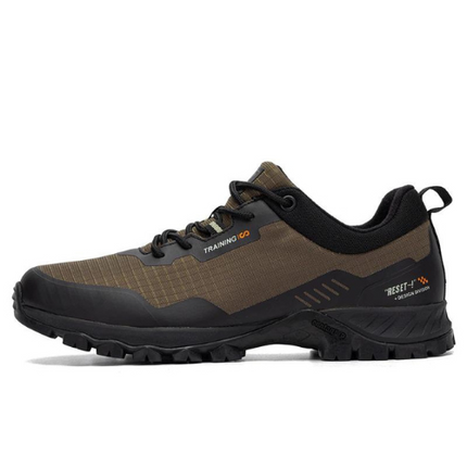 Chaussures de Randonnée Homme Gore-Tex marron