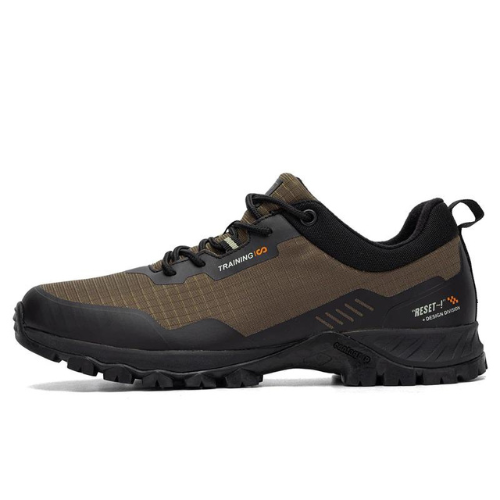 Chaussures de Randonnée Homme Gore-Tex marron